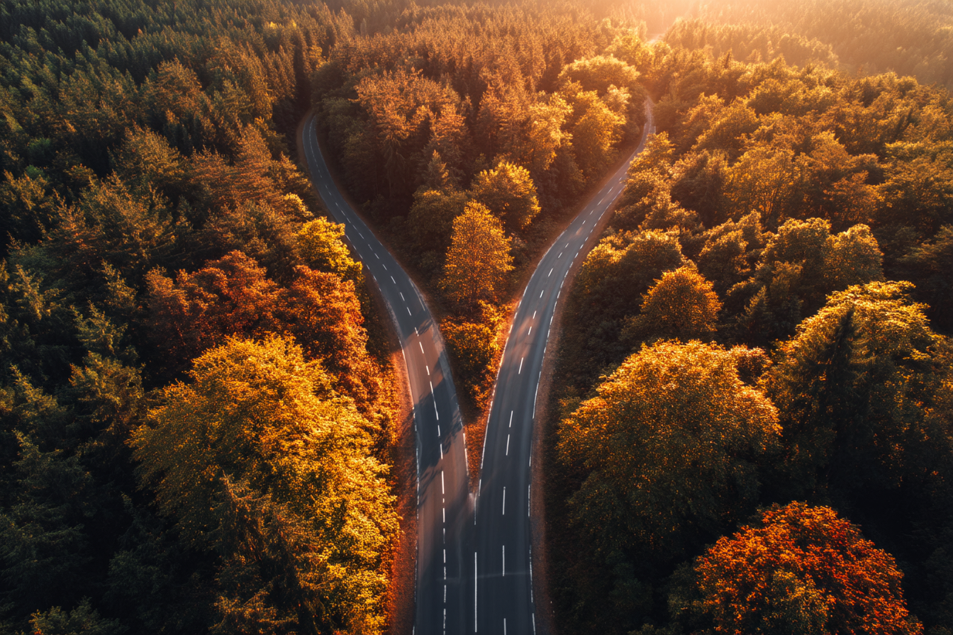Vista aérea de una carretera bifurcándose en dos caminos idénticos
